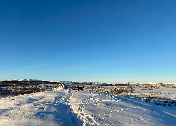 In Al Mountains With Hallingskarvet Views Casa vacanze *