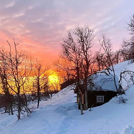 In Al Mountains With Hallingskarvet Views *