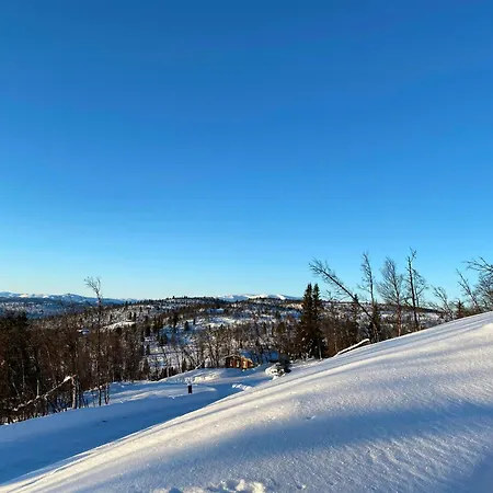 In Al Mountains With Hallingskarvet Views Holiday home