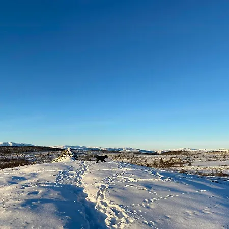 In Al Mountains With Hallingskarvet Views Holiday home *