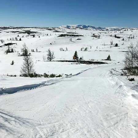 In Al Mountains With Hallingskarvet Views Holiday home